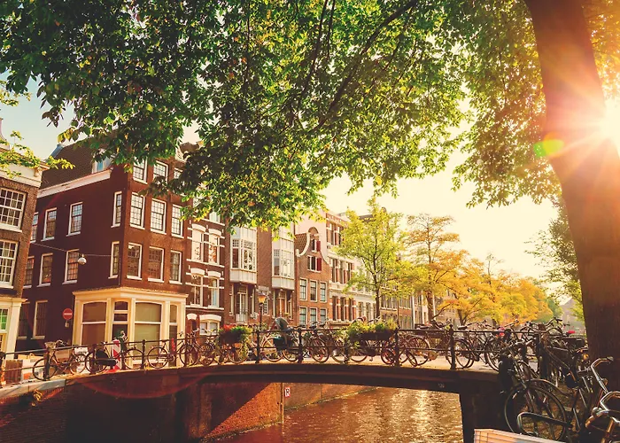 Flying Pig Uptown Vandrerhjem Amsterdam